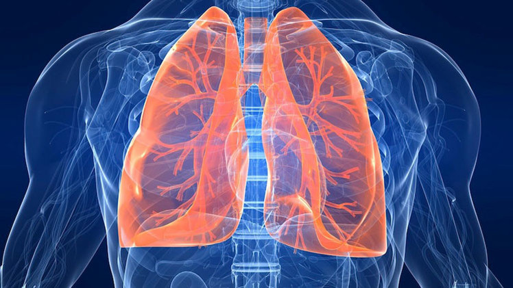 الجهاز التنفسي وأمراضه وطرق وقايته