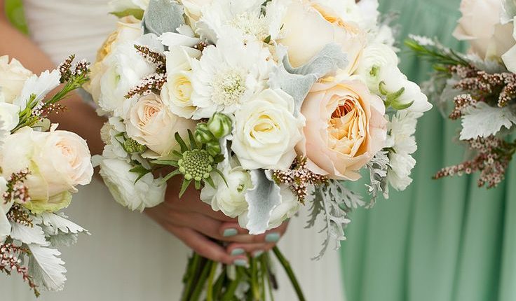 الورود البيضاء للعروس