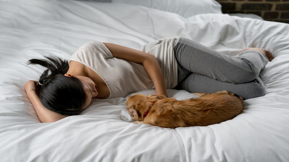 النوم مع الكلب الحيوان الأليف