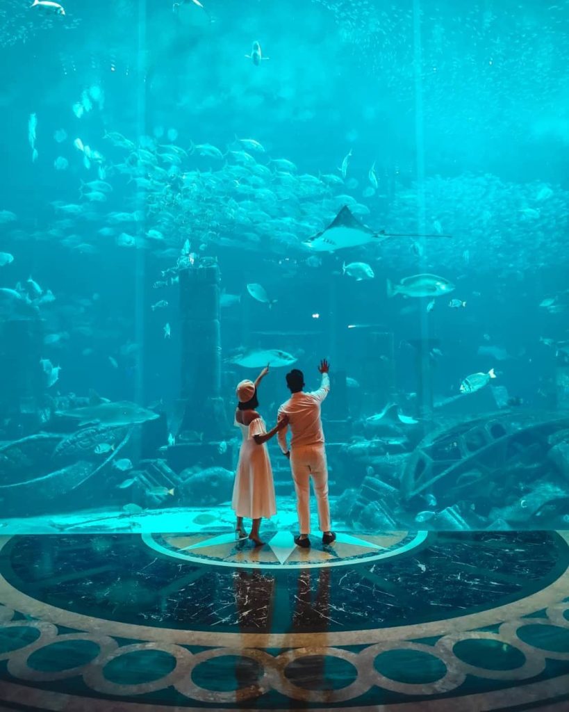 The Lost Chambers Aquarium