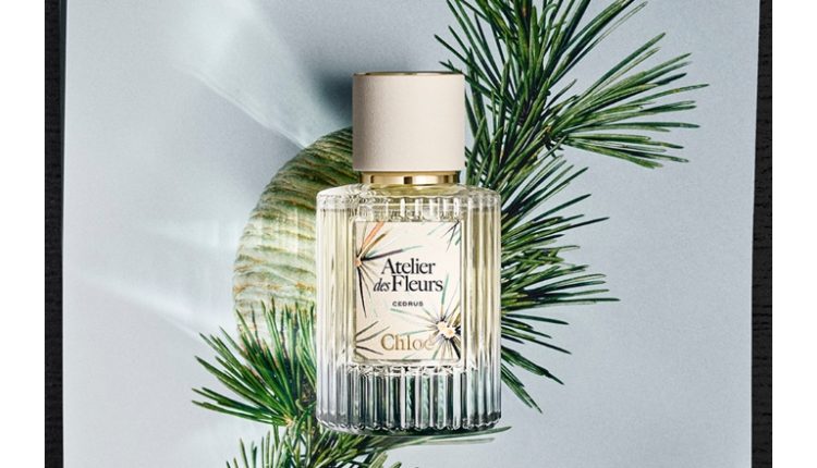عطر CEDRUS تكريمًا لتراث دار Chloé