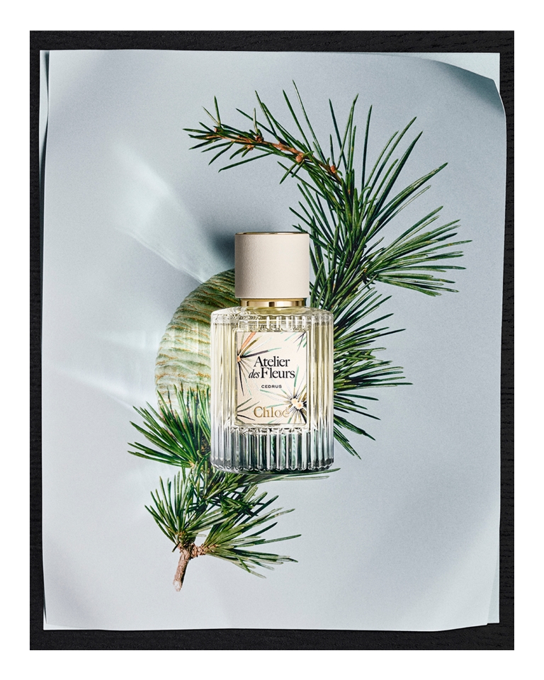 عطر CEDRUS تكريمًا لتراث دار Chloé