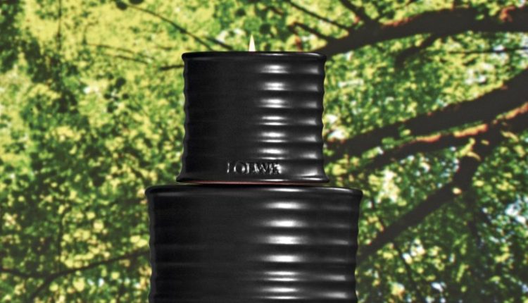 LOEWE للعطور تقدم عطر PALO SANTO ضمن تشكيلة العطور المنزلية