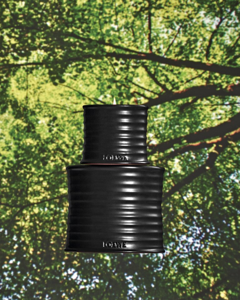 LOEWE للعطور تقدم عطر PALO SANTO ضمن تشكيلة العطور المنزلية