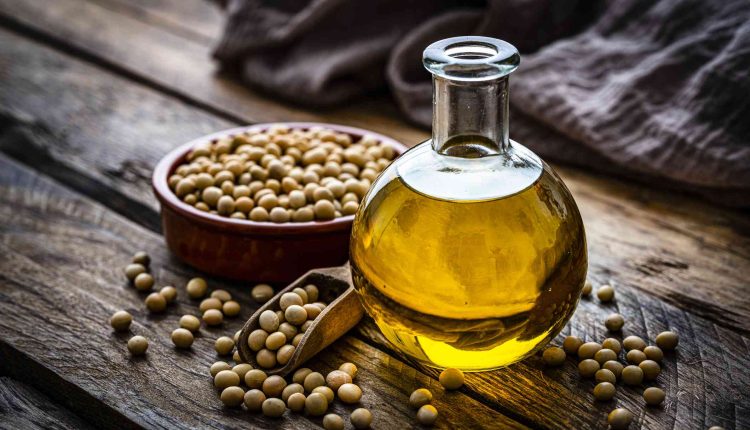 زيوا البذور