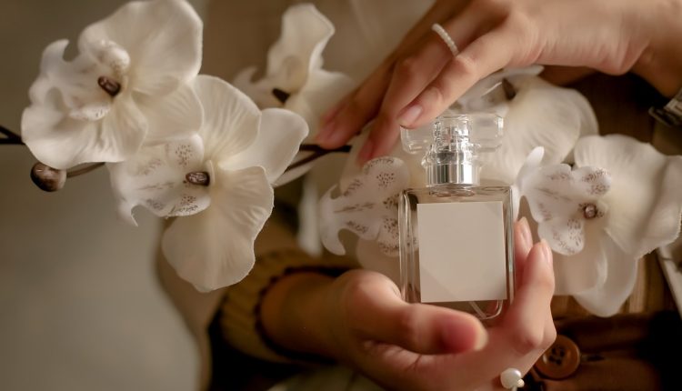 عطور خريفية متألقة بسمات إبداعية