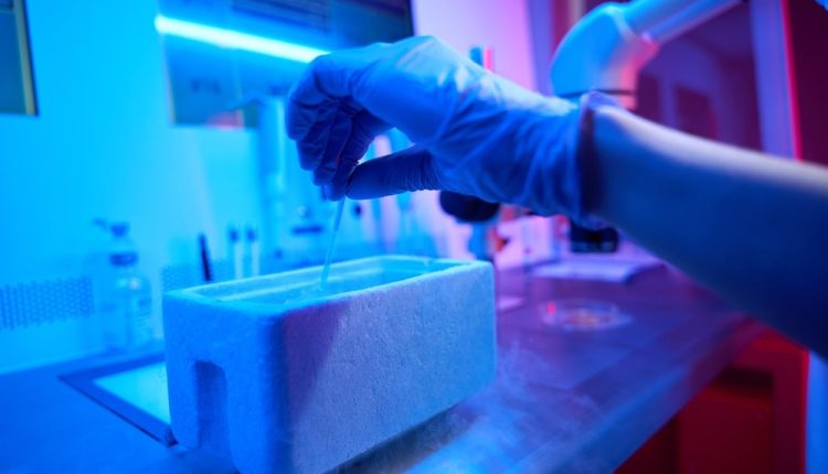 أي عمر تكون فرصكِ أفضل لتجميد البويضات