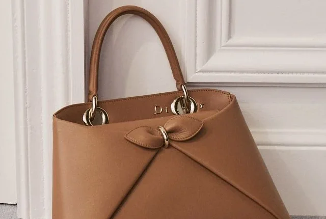 حقيبة ديور سيغال تحفة فنية في ربيع 2026