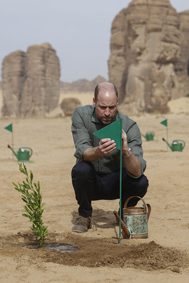 العلا تزرع مليون نبتة محلية لتعزيز الاستدامة البيئية