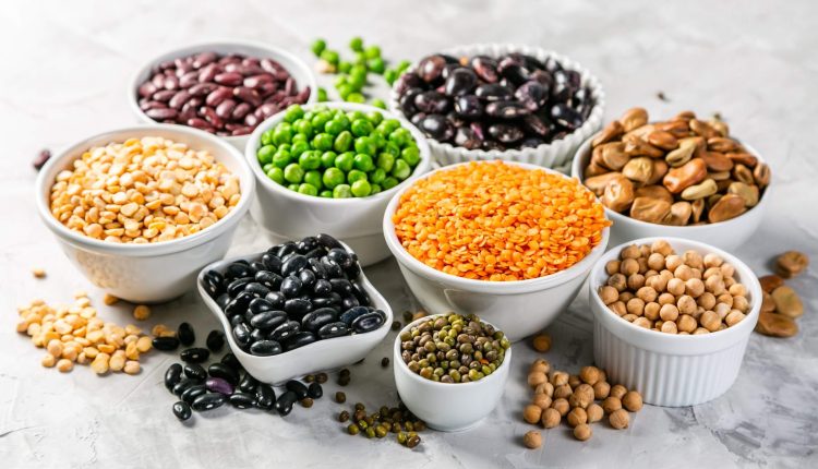 البروتينات النباتية